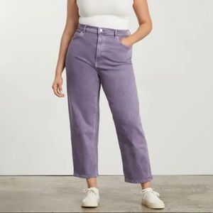 Everlane The Way-High Jean in Purple size 30